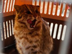 持续筑牢生态安全屏障